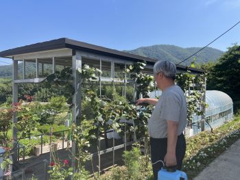 키위 해충방제