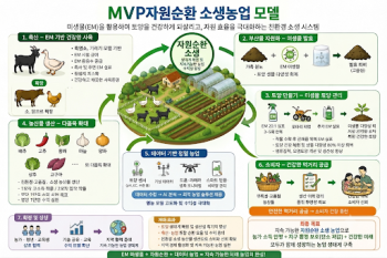김영곤 박사님 김영일 대표님을 멘토로 모시고 지구를살리자 캠페인 현장ㅈ에서에서 실천하는 실천자의 생각 시각화한 mvp