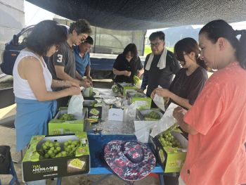 강진내 푸소 체험